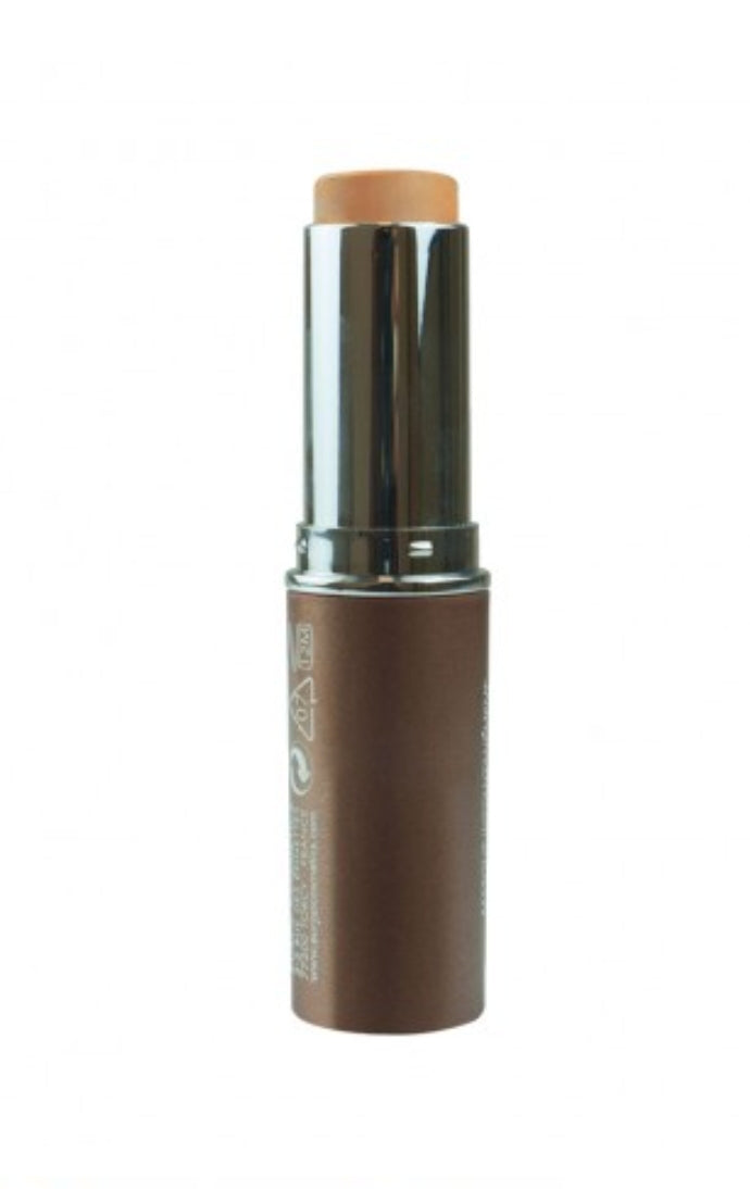 Fond de teint NS retouche/correcteur express Beige